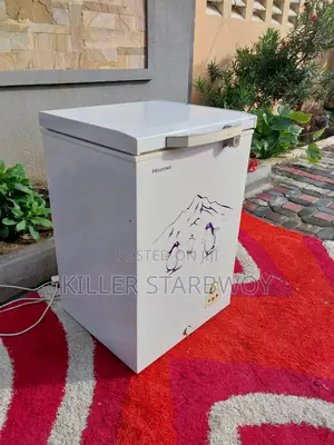 Freezer Lita 100, Hisense