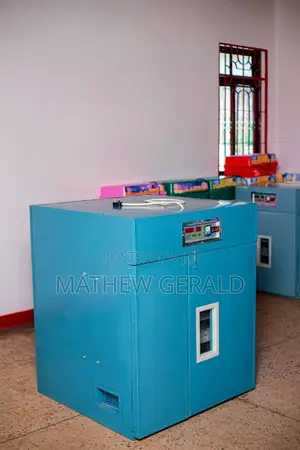 Eggs Incubators. Zinatumia Umeme Na Gas