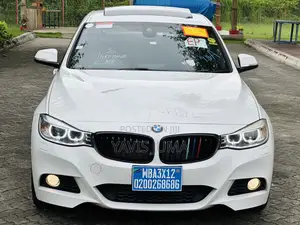 BMW 3 Series 2013 White