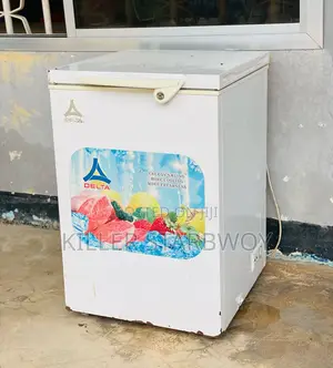 Freezer Lita 100 Delta