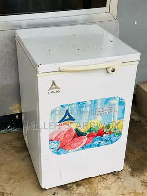 Freezer Lita 100 Delta