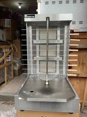 Photo - Ten Burners Commercial Shawarma Machine