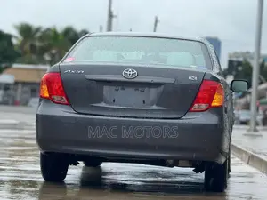 Toyota Axio 1.5 G 2WD 2007 Gray