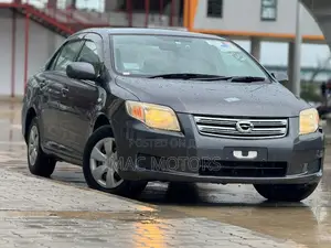 Toyota Axio 1.5 G 2WD 2007 Gray