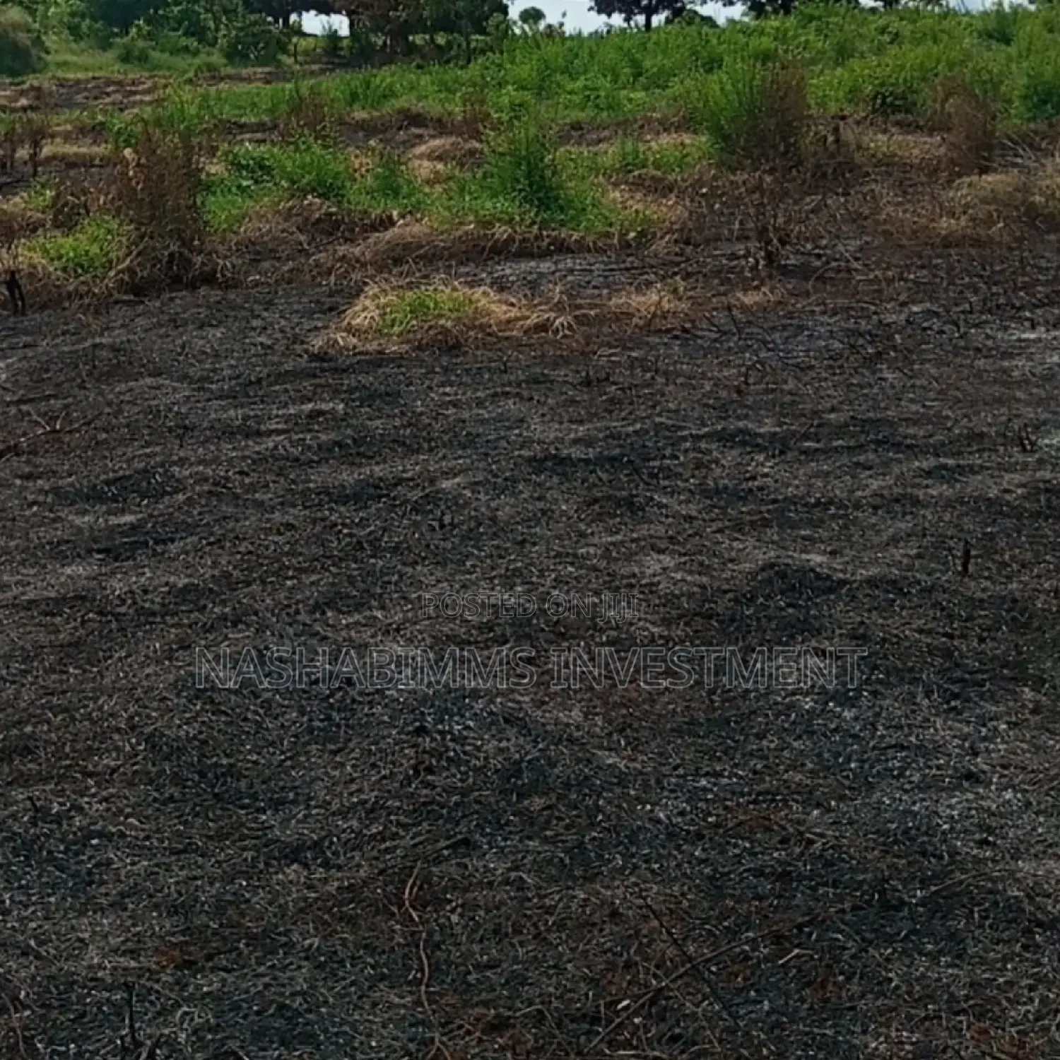 Petrol Station Plot for Sale in Tanga