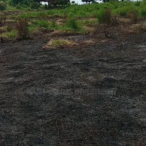 Petrol Station Plot for Sale in Tanga