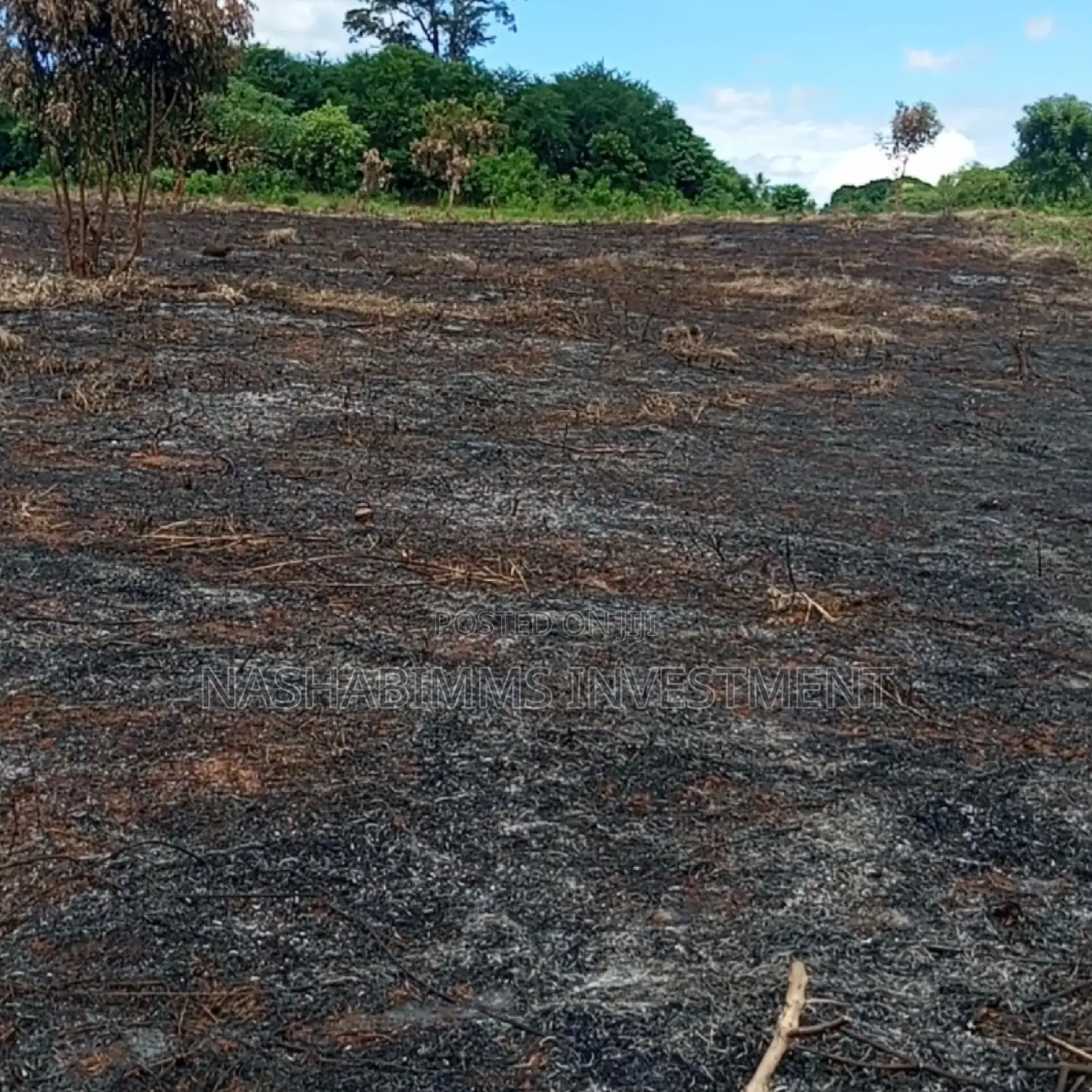 Petrol Station Plot for Sale in Tanga