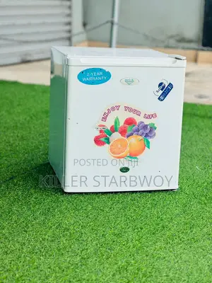 Min Fridge Clean
