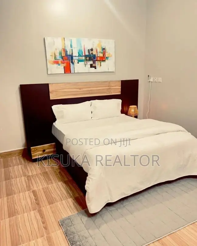 New Luxury 2 Bedroom Apartment for Rent Fully Furnished