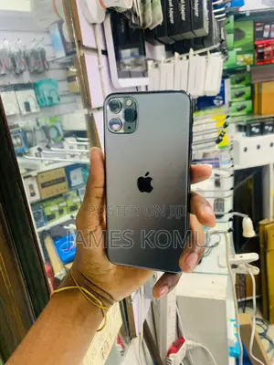 Apple iPhone 11 Pro Max 64 GB Gray