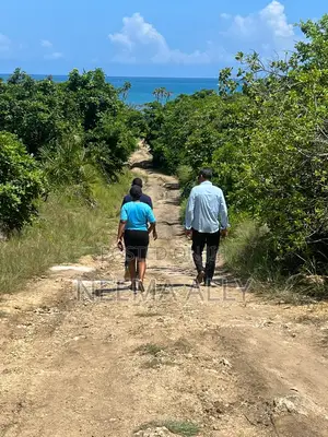 Beach Plots  Kigamboni