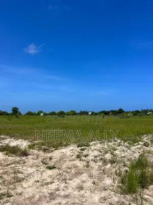 Viwanja Kisarawe Ya Kigamboni