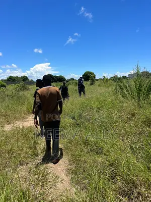 Viwanja Kisarawe Ya Kigamboni
