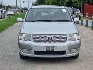 Toyota Succeed 2009 Silver