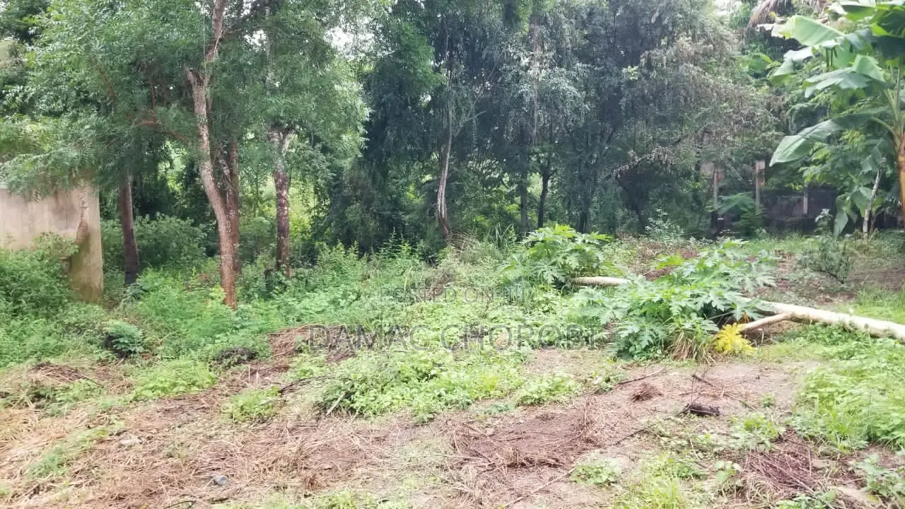 Kiwanja Kinauzwa Luguruni Kibamba