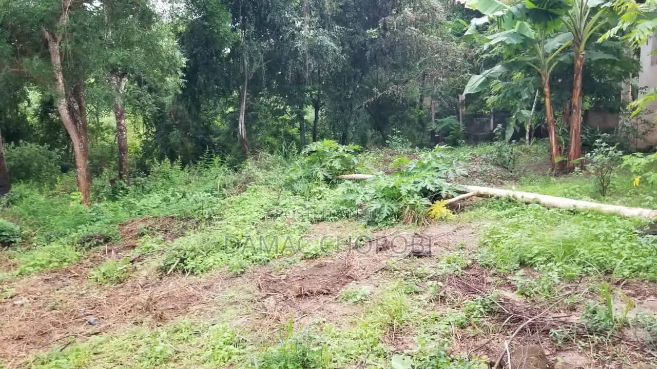 Kiwanja Kinauzwa Luguruni Kibamba