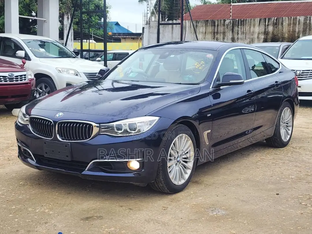 BMW 3 Series 2014 Blue
