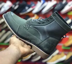 Brand New Timberland Shoes