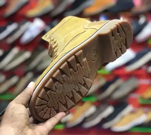 Brand New Timberland Shoes