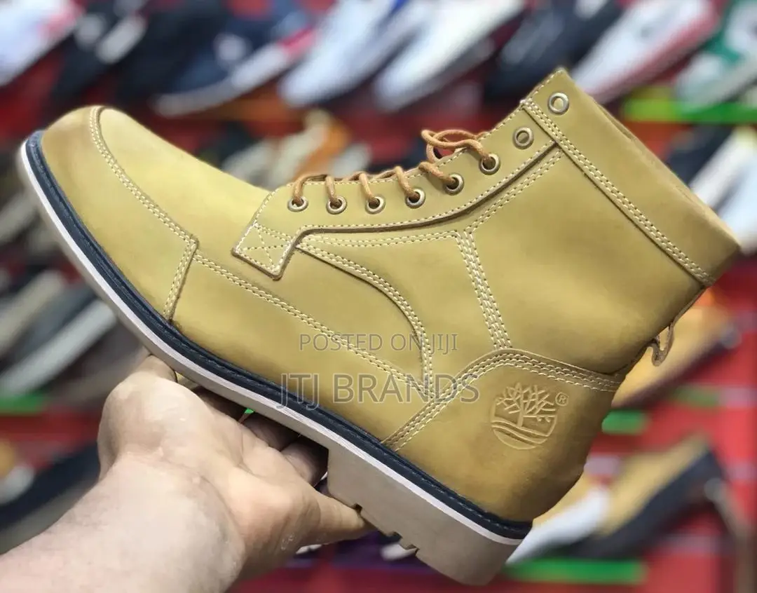 Brand New Timberland Shoes