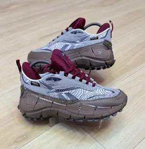 Reebok Shoe