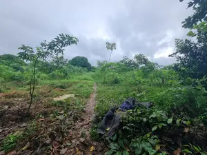 Kimanzichana