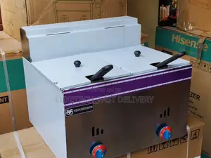 Stainless Steel Gas Deep Fryer 12l Double