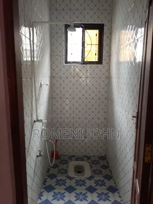 1bdrm Apartment in Tanzania Dsm Ukonga for rent