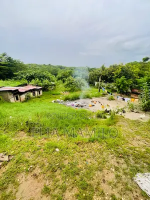 Plot Facing the Road Is for Sale in Dar ES Salaam Makongo