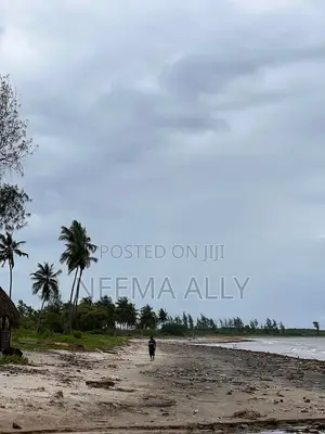 KIGAMBONI BEACH PLOTS Phase 2, 3, 4