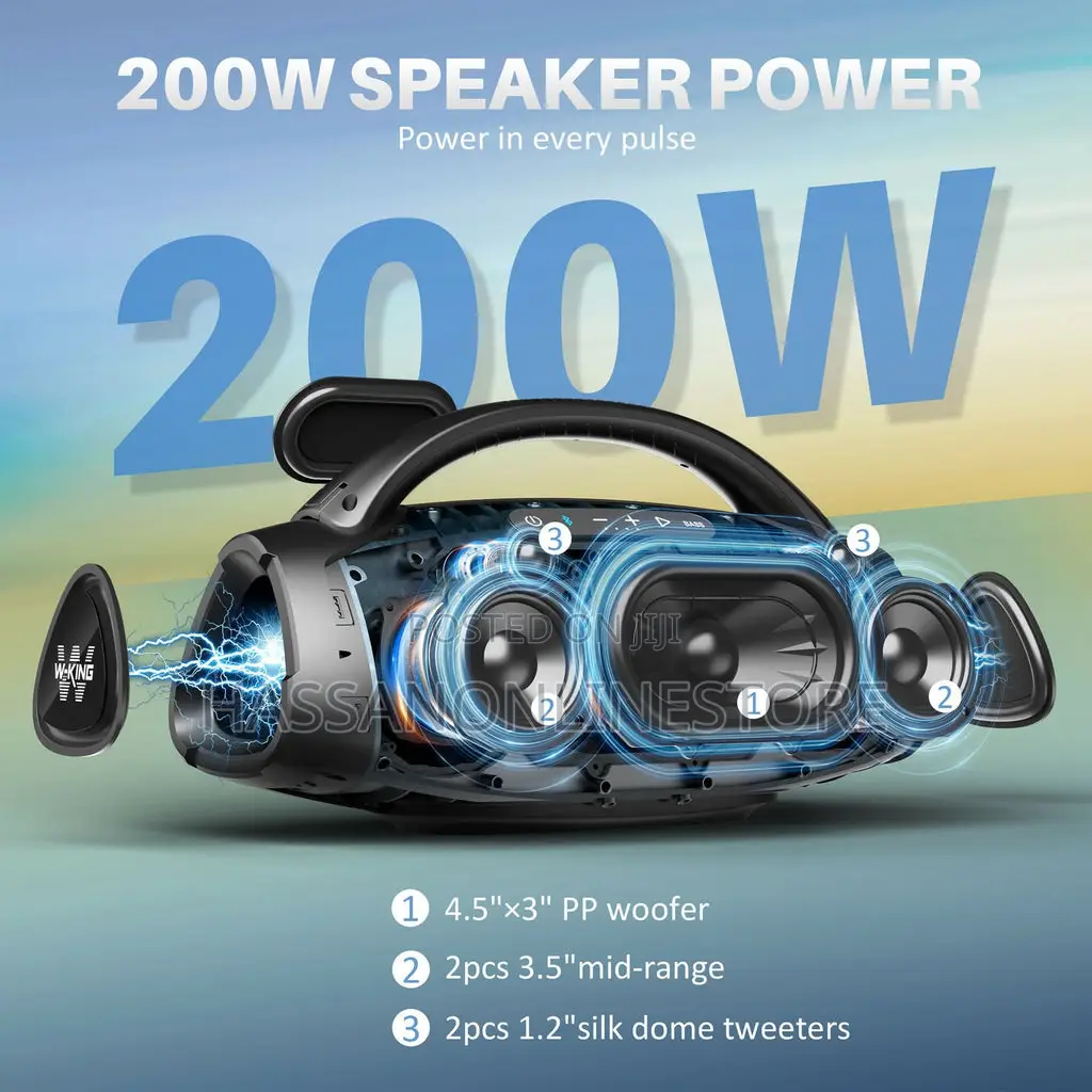 Wking D20 Partybox Bluetooth Speaker With 2 Mics