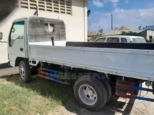 Isuzu Ya Mzigo
