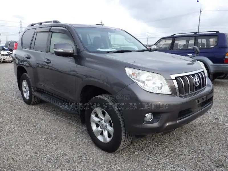 Toyota Land Cruiser Prado 2013 Gray
