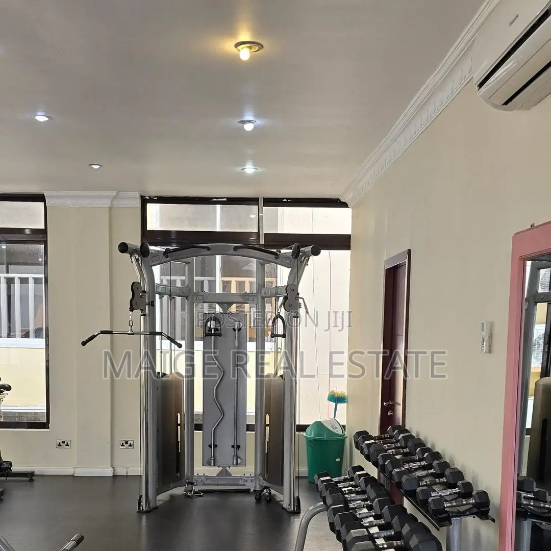 Furnished 3bdrm Apartment in Masaki for rent