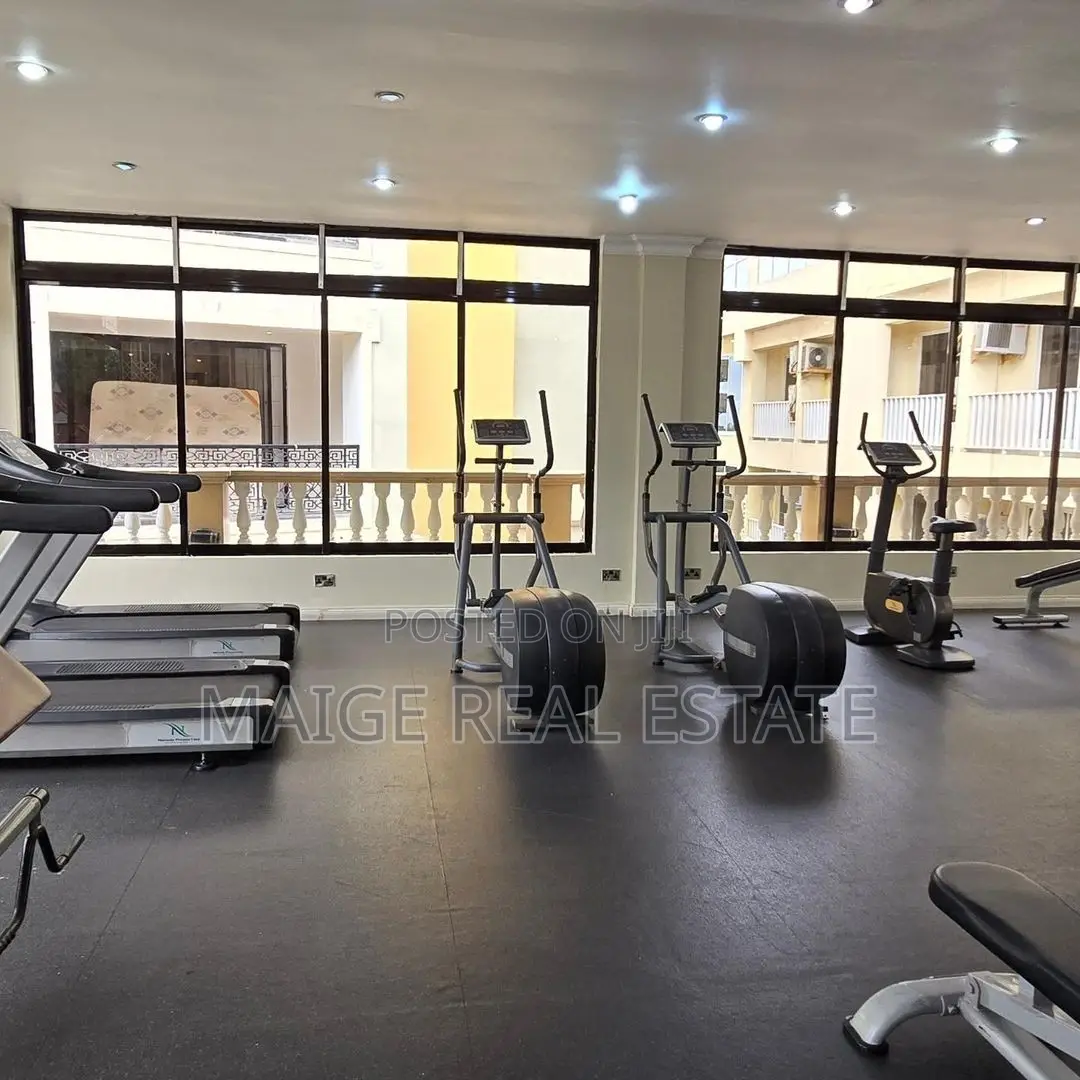 Furnished 3bdrm Apartment in Masaki for rent