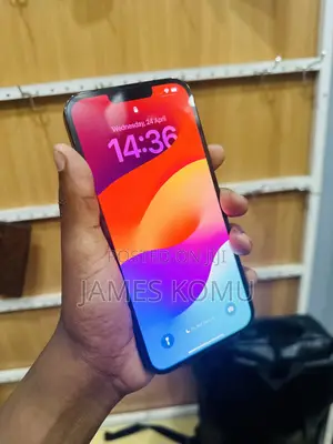 Apple iPhone 13 Pro Max 128 GB Gray