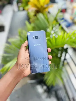 Samsung Galaxy S8 Plus 64 GB Blue