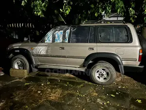 Toyota Land Cruiser 1996 Silver