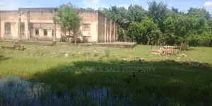 4bdrm House in Mikocheni for rent