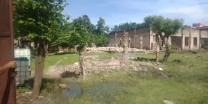 4bdrm House in Mikocheni for rent