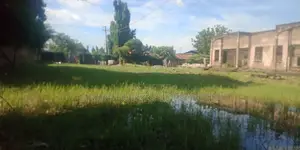 4bdrm House in Mikocheni for rent