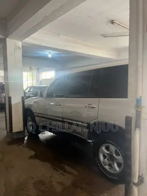 Toyota Land Cruiser 2001 Silver