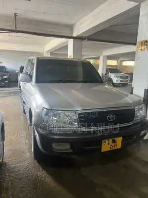 Toyota Land Cruiser 2001 Silver