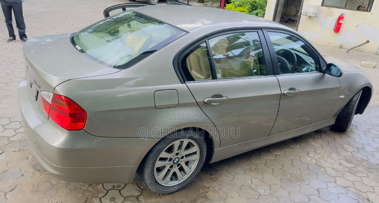 BMW 3 Series 2010 Gray