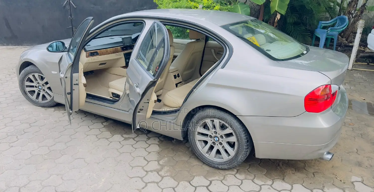 BMW 3 Series 2010 Gray