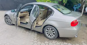 BMW 3 Series 2010 Gray
