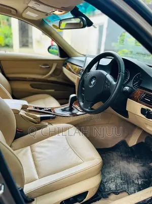 BMW 3 Series 2010 Gray