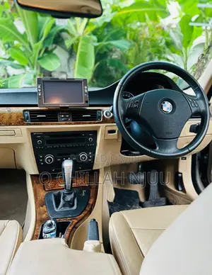 BMW 3 Series 2010 Gray