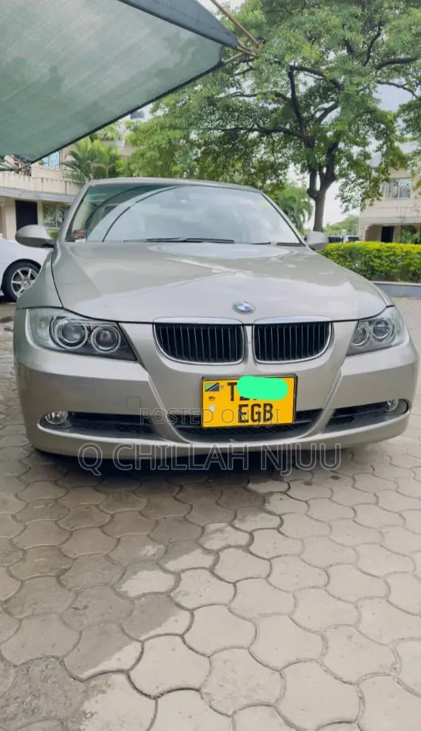 BMW 3 Series 2010 Gray