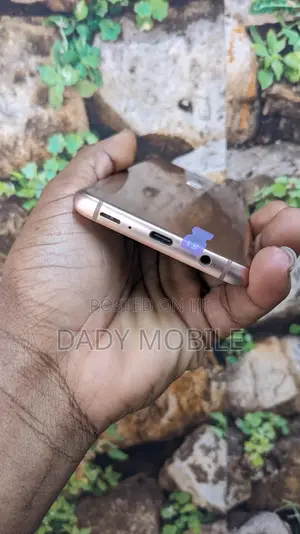 Samsung Galaxy S9 Plus 64 GB Gold